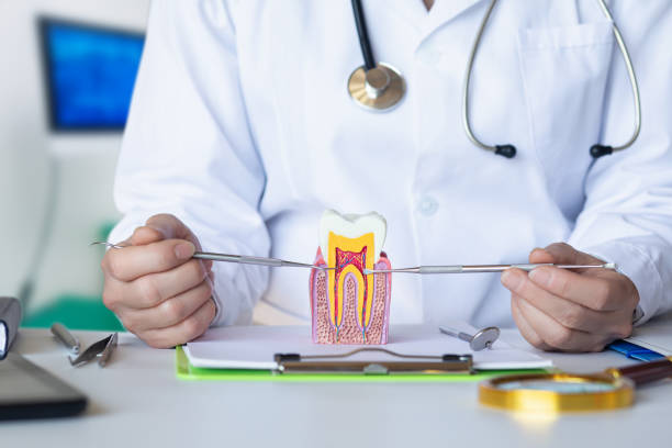 Best 24-Hour Emergency Dentist in Charlevoix, MI